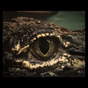 So cool from the Aquarium